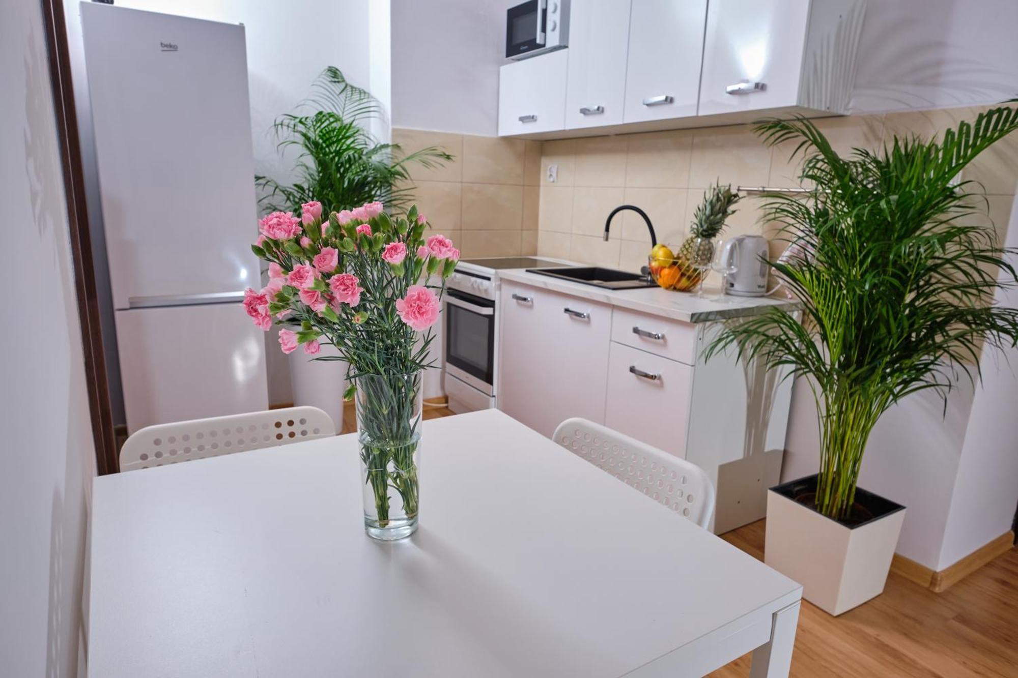 Apartament Sloneczny 12 Οπόλε Εξωτερικό φωτογραφία